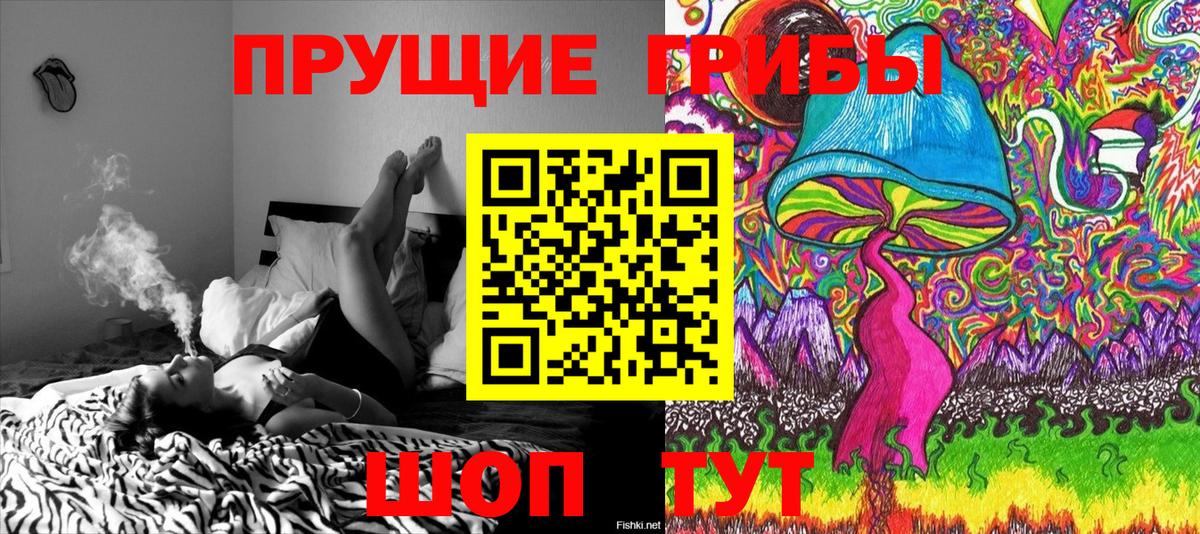 Галлюциногенные грибы Psilocybe  Вход с VPN  Десногорск 